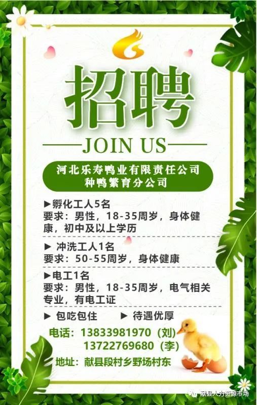 英么德最新招聘啟事，小蟲網(wǎng)人才招募之旅
